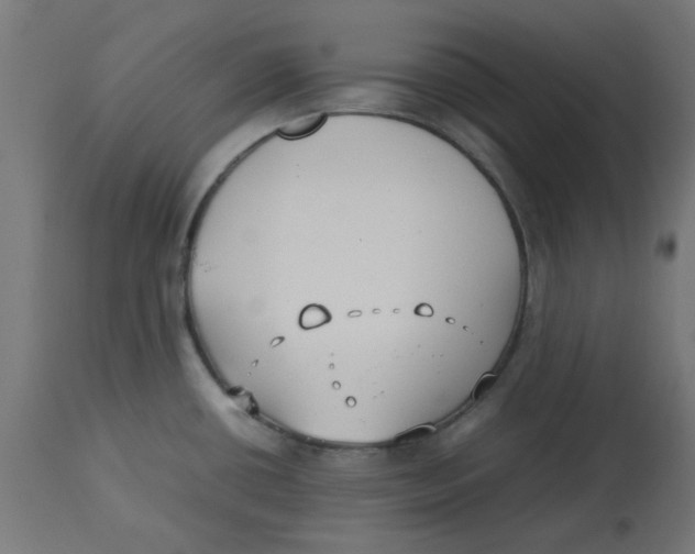 X0000113211434200910081305