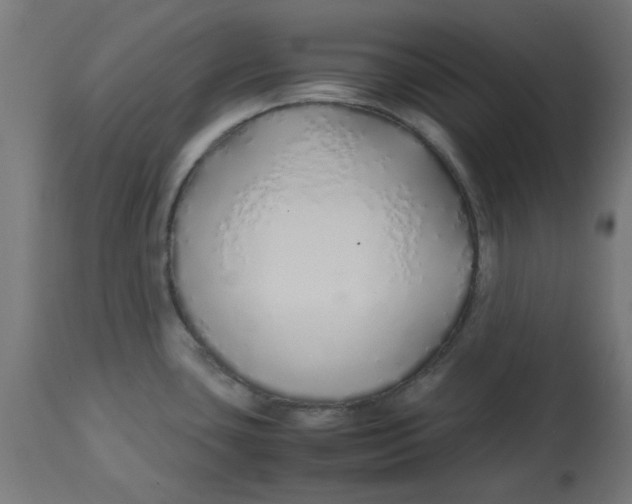 X0000113211435200910081305