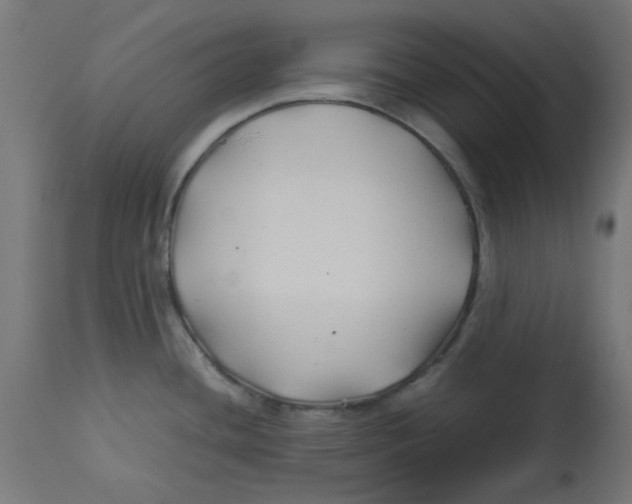 X0000113211436200910081305