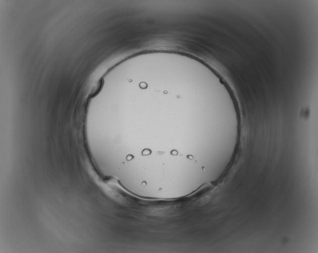 X0000113211437200910081305