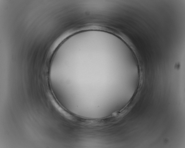 X0000113211438200910081305