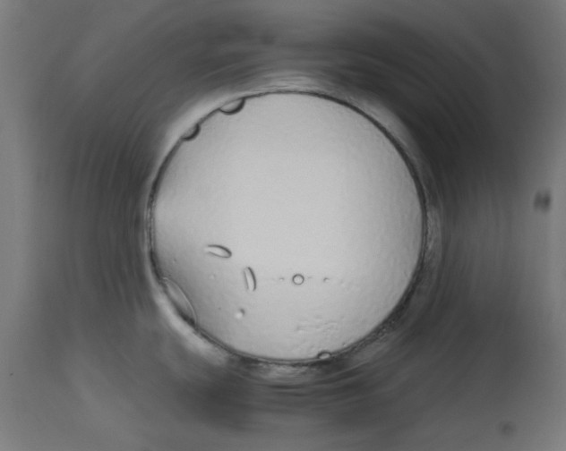 X0000113211439200910081305