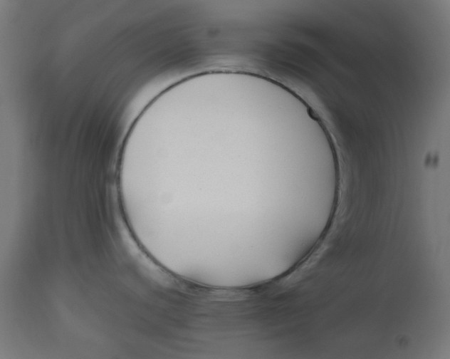 X0000113211440200910081305