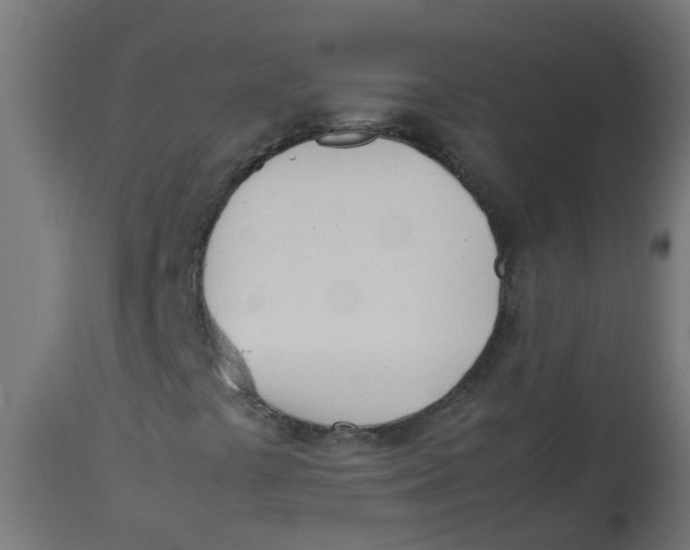 X0000113211441200910081305