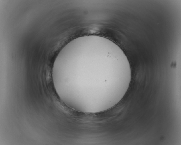 X0000113211442200910081305