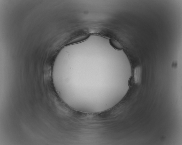 X0000113211443200910081305