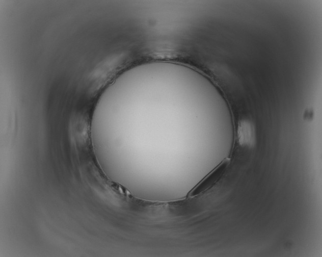 X0000113211444200910081305