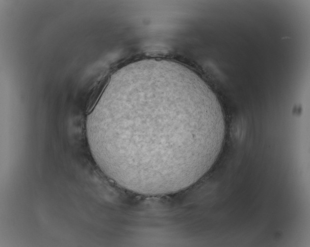 X0000113211445200910081304