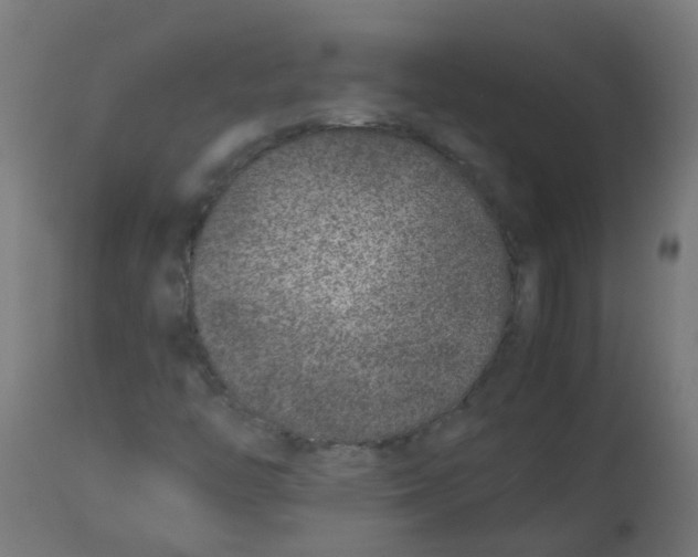 X0000113211446200910081304