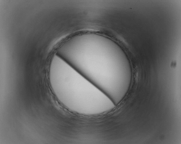 X0000113211448200910081304