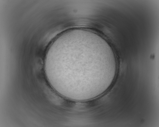 X0000113211449200910081304