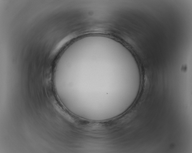 X0000113211450200910081304