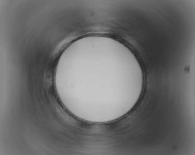 X0000113211451200910081304