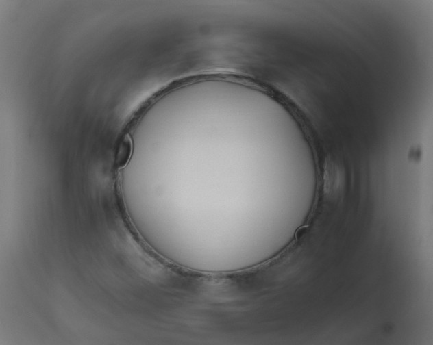 X0000113211452200910081304