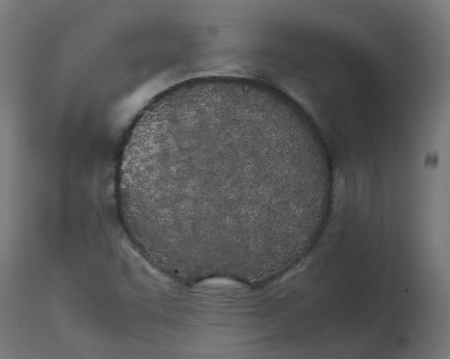 X0000113211455200910081304