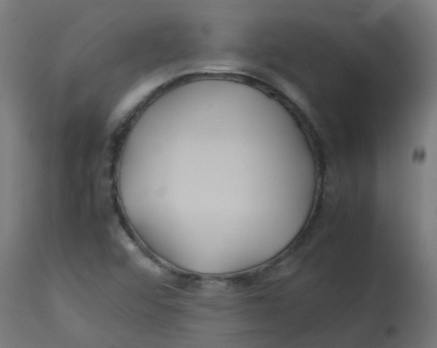 X0000113211456200910081304