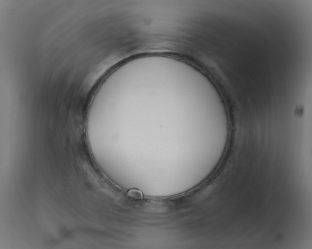 X0000113211457200910081304