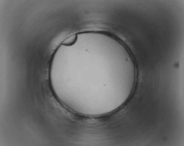 X0000113211459200910081304