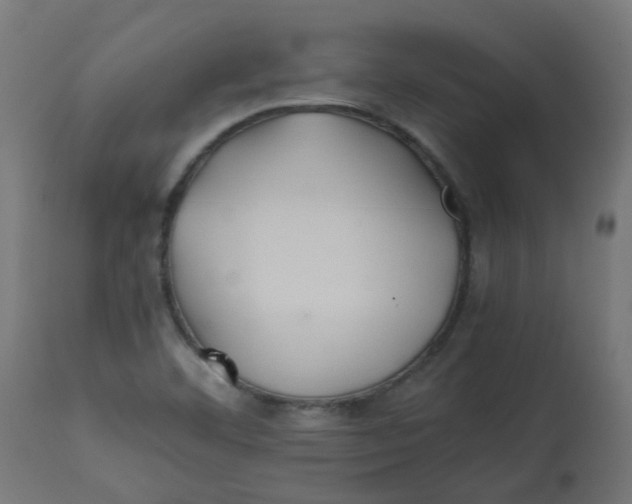 X0000113211460200910081304