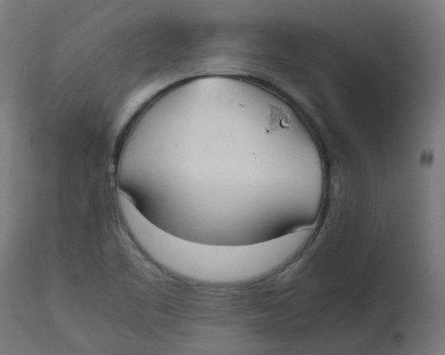 X0000113211461200910081304