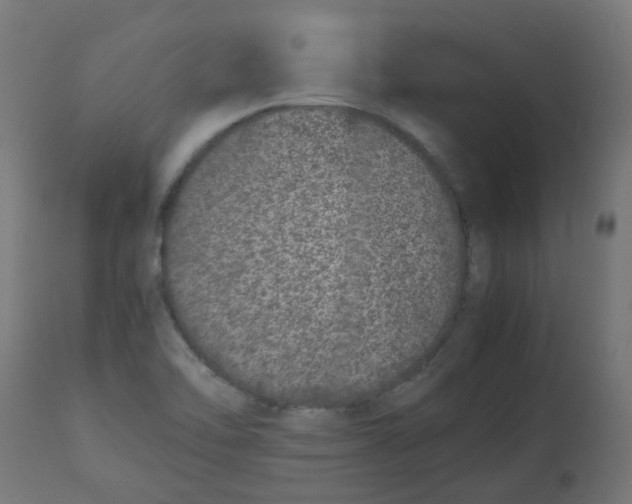 X0000113211462200910081304