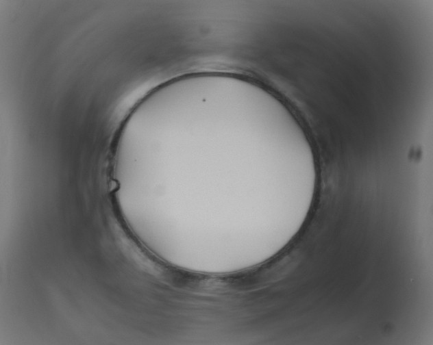 X0000113211463200910081304