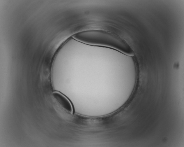 X0000113211465200910081304