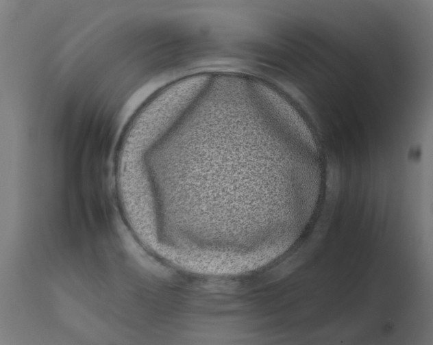 X0000113211466200910081304