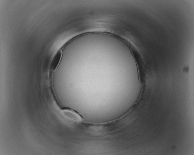 X0000113211468200910081304