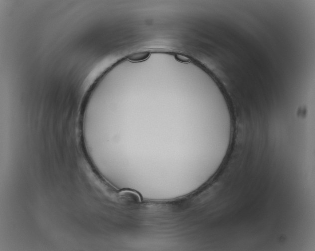 X0000113211469200910081304