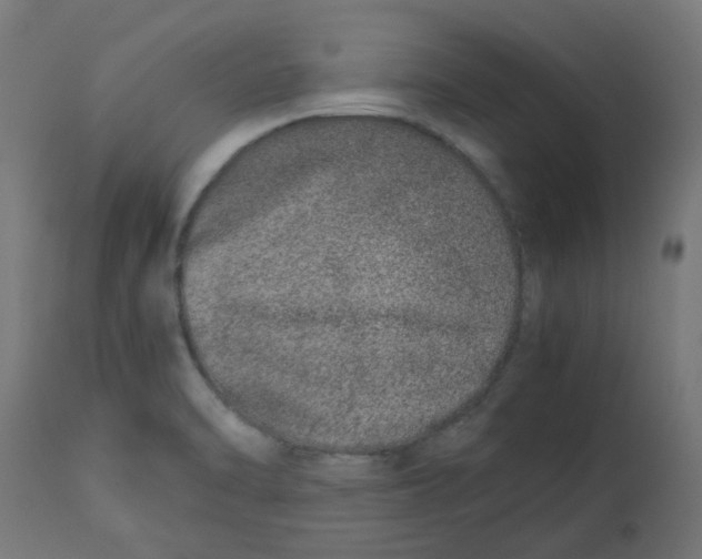 X0000113211470200910081304