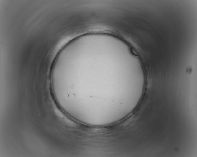 X0000113211471200910081304