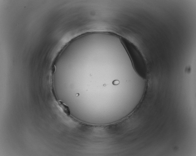 X0000113211472200910081304