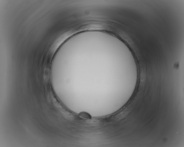 X0000113211473200910081304