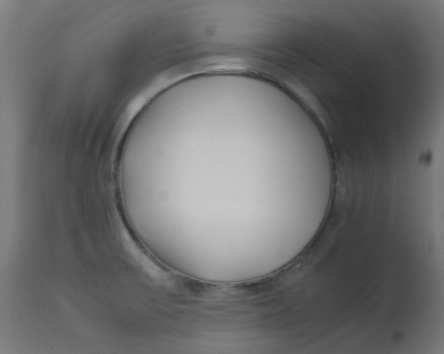 X0000113211475200910081304