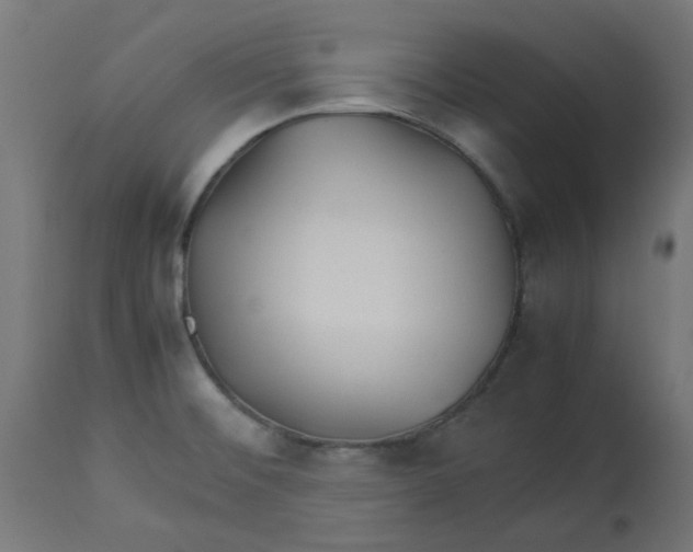 X0000113211476200910081304