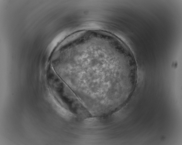 X0000113211477200910081304