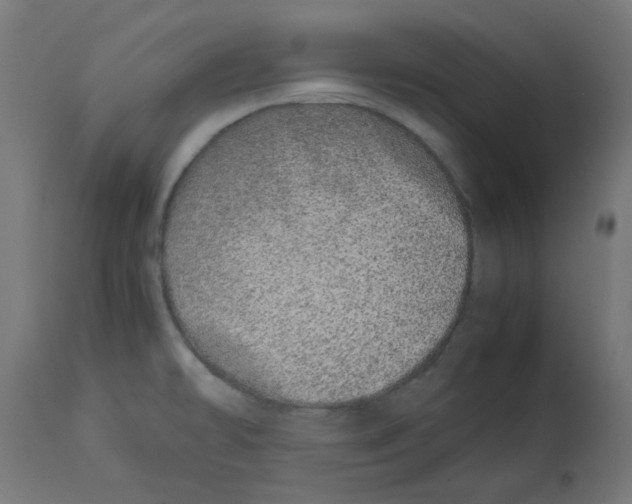 X0000113211478200910081304