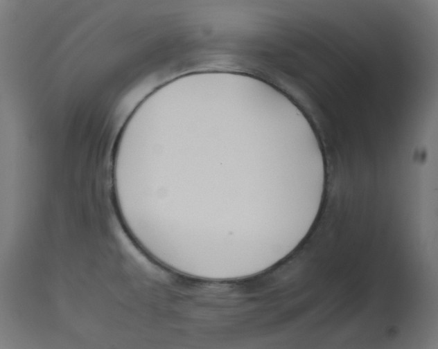 X0000113211479200910081304