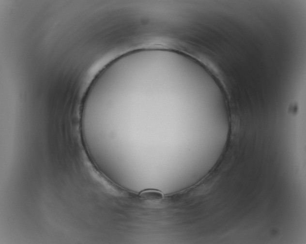 X0000113211480200910081304