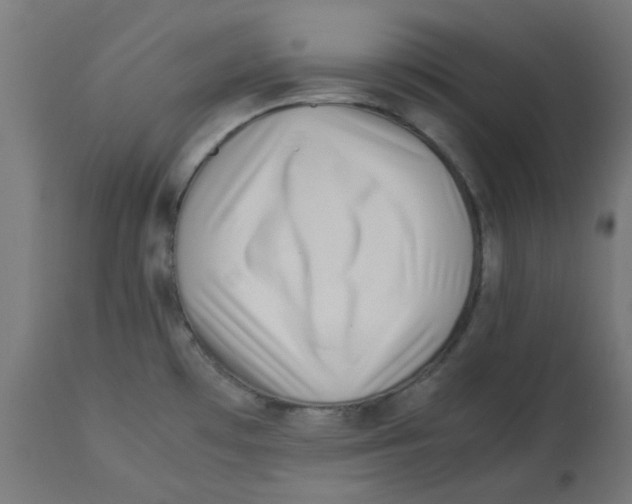 X0000113211481200910081304