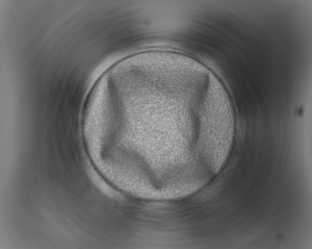 X0000113211482200910081304