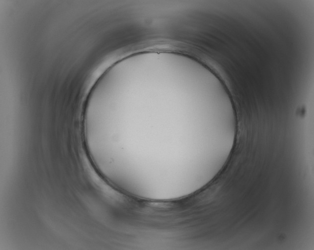 X0000113211483200910081304