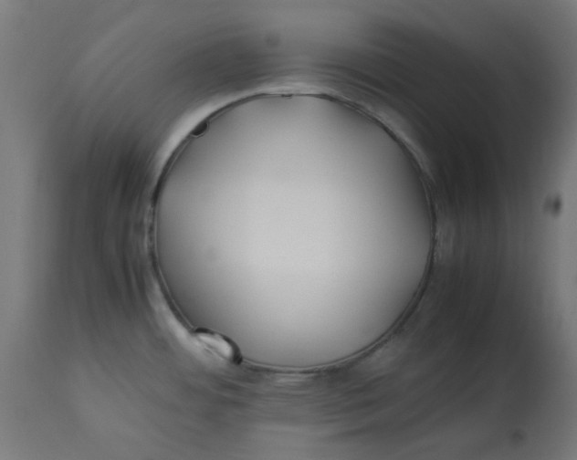 X0000113211484200910081304