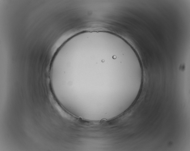 X0000113211485200910081304