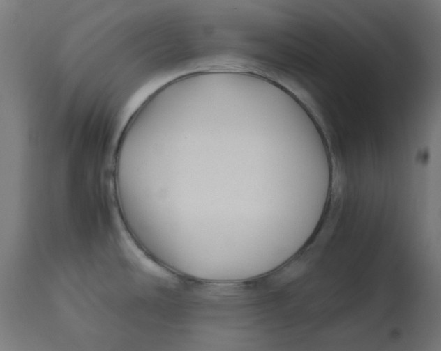 X0000113211486200910081304