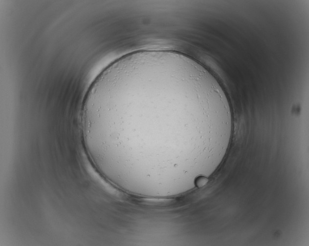 X0000113211487200910081304