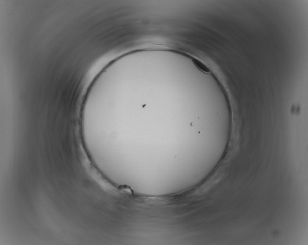 X0000113211488200910081304