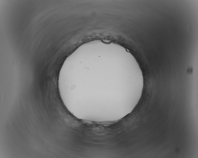 X0000113211489200910081303