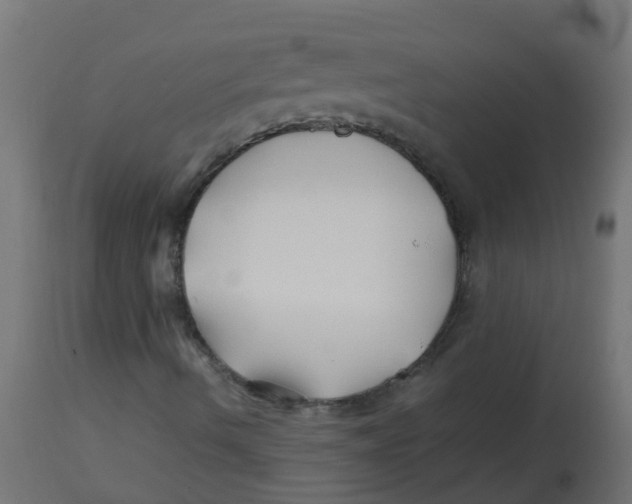 X0000113211490200910081303